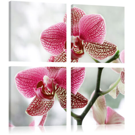 Tableau Imprimé "Orchidée de Fantaisie" 40 x 40 cm (1/2)
