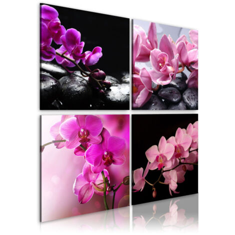 Tableau Imprimé "Orchidées Plus Belles Que Jamais" 40 x 40 cm (1/2)