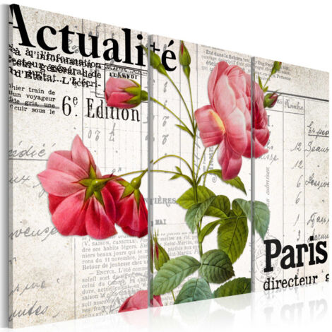 Tableau Imprimé "Paris Directeur" 60 x 90 cm (1/2)