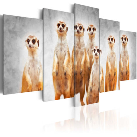 Tableau Imprimé "Meerkats" 50 x 100 cm (1/2)