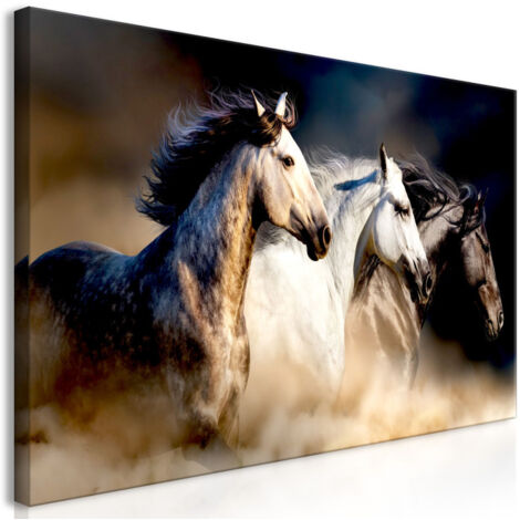 Tableau Imprimé "Sons of the Wind Wide" 60 x 120 cm (1/2)