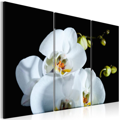 Tableau Imprimé "Orchidée Blanche Comme Neige" 60 x 90 cm (1/2)