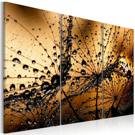 Tableau Imprimé "Pissenlit & Rosée" 60 x 90 cm (1/2)
