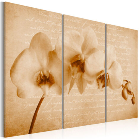 Tableau Imprimé "Orchidée Vintage" 60 x 90 cm (1/2)