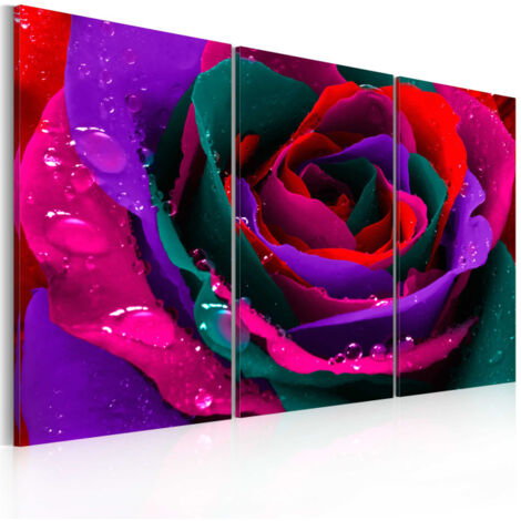 Tableau Imprimé "Rose Irisée" 60 x 90 cm (1/2)