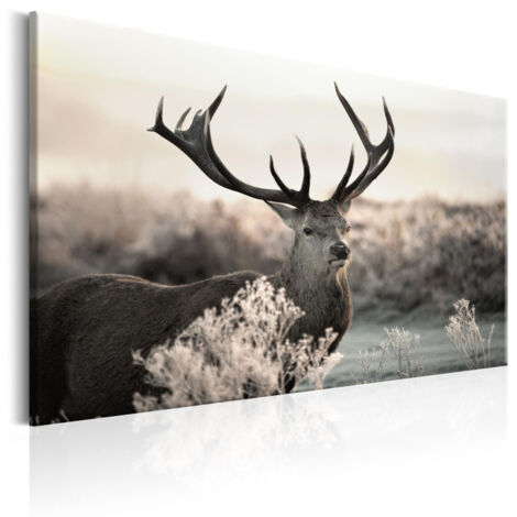 Tableau Imprimé "Powerful Horns" 60 x 90 cm (1/2)