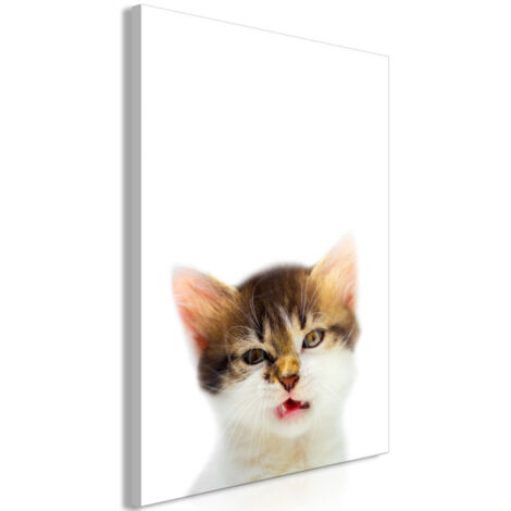 Tableau Imprimé "Vexed Cat" 60 x 90 cm (1/2)