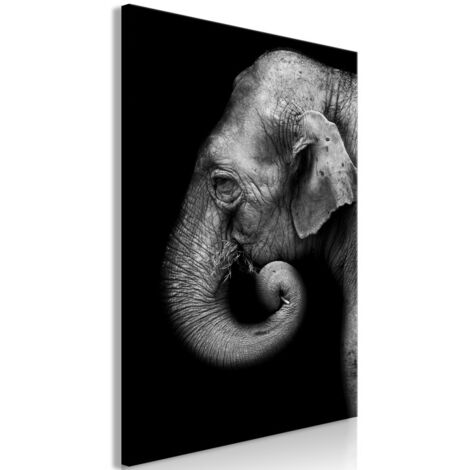 Tableau Imprimé "Portrait of Elephant" 40 x 60 cm (1/4)