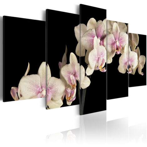 Tableau Imprimé "Orchidée sur Fond Contrasté" 50 x 100 cm (1/2)