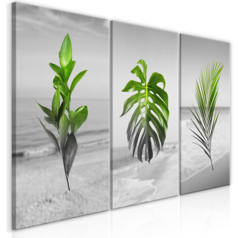 Tableau Imprimé "Plants Collection" 60 x 120 cm (1/2)