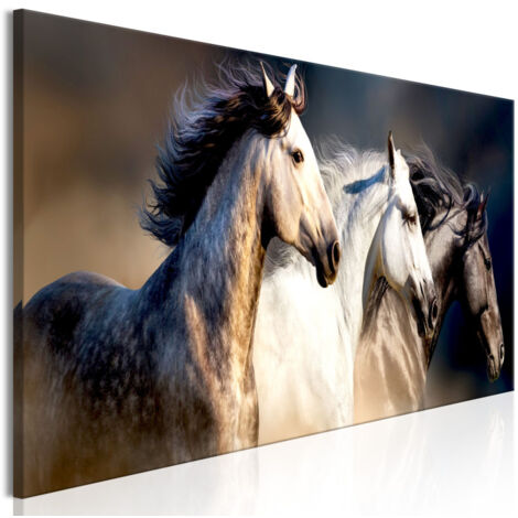 Tableau Imprimé "Sons of the Wind Narrow" 40 x 120 cm (1/2)