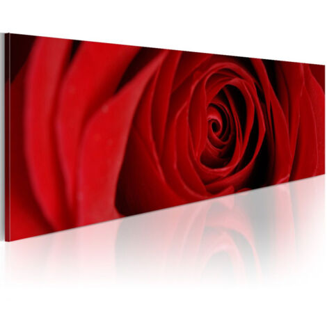 Tableau Imprimé "Rose du Nord" 45 x 135 cm (1/2)