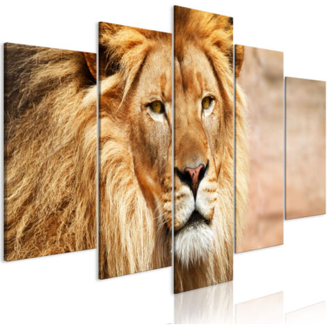 Tableau 5 Panneaux "The King of Beasts Wide Orange" 50 x 100 cm (1/2)