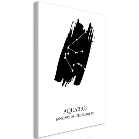 Tableau Imprimé "Zodiac Signs : Aquarius" 40 x 60 cm (1/2)