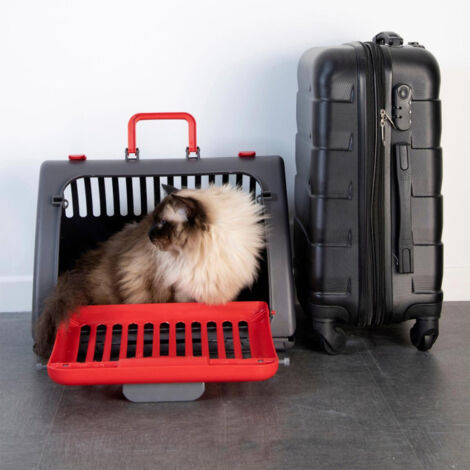 Caisse de Transport pour Chat "Pliable" 46cm Rouge