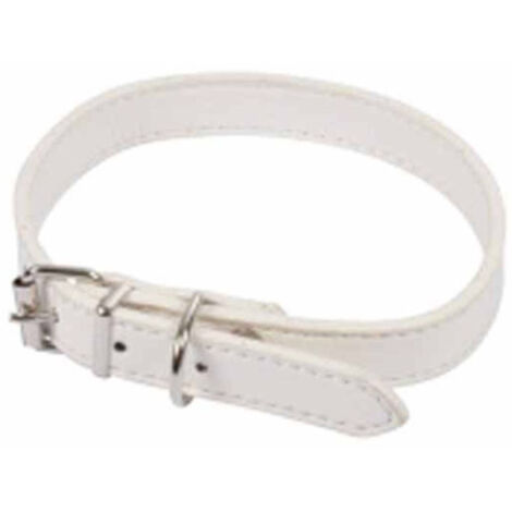 Collier pour Chien "Design Uni" 40cm Blanc