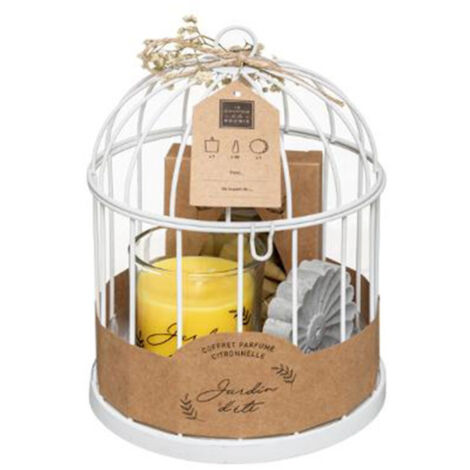 Coffret de Fragrances "Cage" 20cm Citronnelle (1/4)