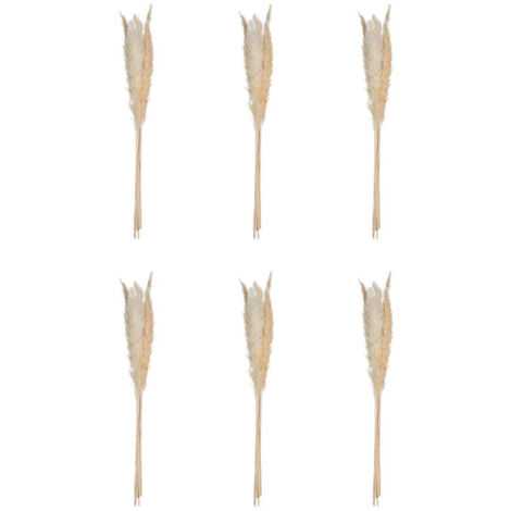 Atmosphera – Lot de 6 fleurs séchées 'Pampa' 66 cm – Plantes séchées naturelles – Décoration intérieure élégante – Longueur 66,5 cm (1/3)