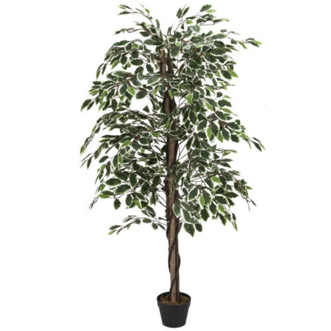 Plante Artificielle "Feuillage Panache" 160cm Vert (1/2)