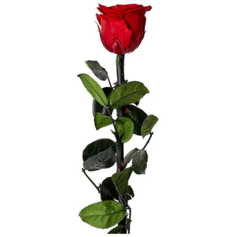 Fleur Artificielle "Rose sur Tige" 30cm Vert & Rouge (1/2)