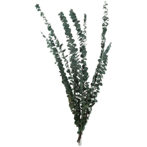 6 Tiges D'eucalyptus Artificiel En Soie/plastique Vert – Décorations Végétales Sans Entretien