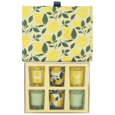 Coffret 6 Bougies Parfumées "Vintage" 8cm Citronnelle (1/5)