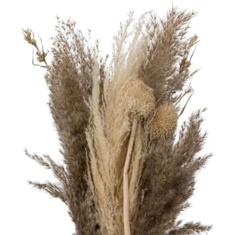 Atmosphera  Bouquet de fleurs sches 'Pampa' 58cm  Couleur naturel  Plantes  sches & papier  lment dcoratif tendance