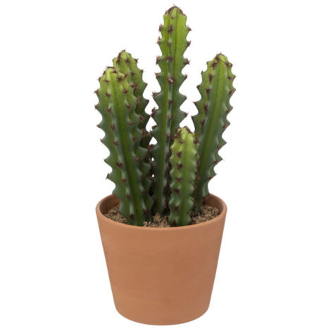 Plante Artificielle Cactus "Alicante" 30cm Vert