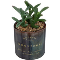 Plante Artificielle en Pot Déco "Bota" 14cm Noir