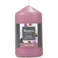Bougie Pilier "Essentiel II" 11cm Orchidée