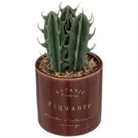 Plante Artificielle en Pot Déco "Bota" 14cm Marron