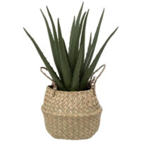 Plante Artificielle & Pot "Aloe Vera" 37cm Vert