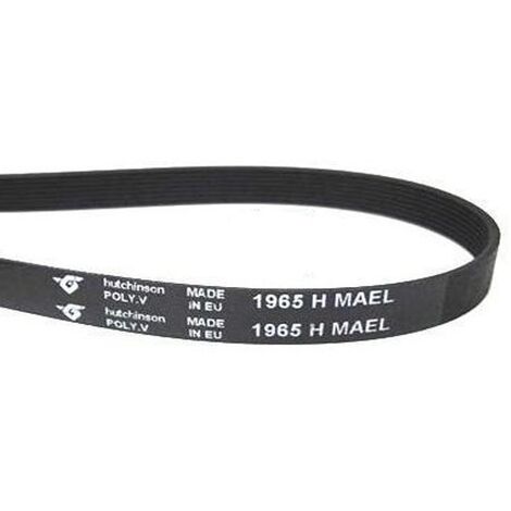 Cinghia Di Trasmissione Hutchinson 1244 PJ Per Lavatrice | Lunghezza 1244 Mm | Istruzioni Di Montaggio Incluse
