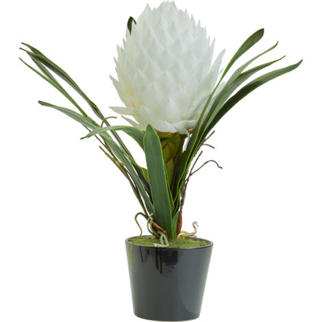 Premier Housewares Fiori White Tropical Plant (1/5)