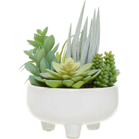Premier Housewares Fiori Mixed Succulents in Large Ceramic Pot (1/5)