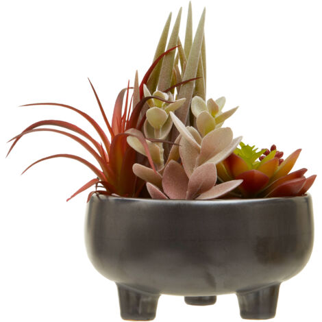 Premier Housewares Fiori Mixed Succulents in Grey Ceramic Pot (1/5)
