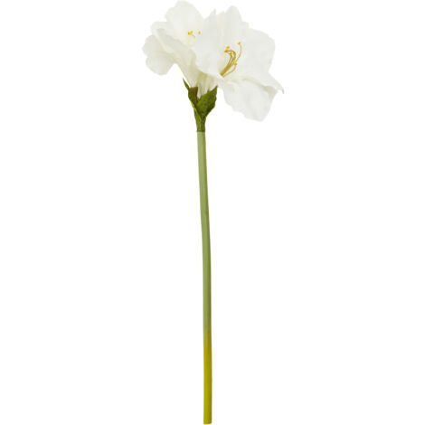 Premier Housewares Fiori Amarylilis Stem Ivory Flower - 72cm (1/5)