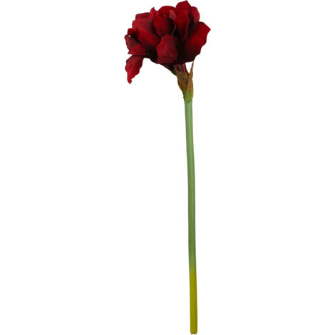 Premier Housewares Fiori Amarylilis Stem Burgundy Flower - 72cm (1/5)