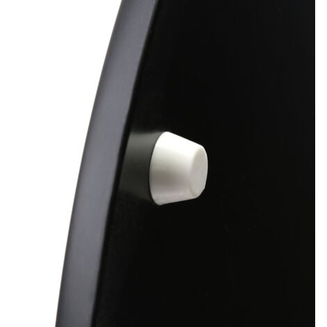 Premier Housewares Matt Black Toilet Seat