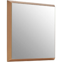 Premier Housewares Wall Mirror Bathroom / Bedroom / Hallway Wall Mounted Mirrors Small Square Wall Mirror With Gold Finish / Glass Mirrors For Living Room 4 x 43 x 43