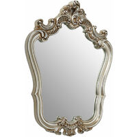 Premier Housewares Wall Mirror / Mirrors For Garden / Bathroom / Living Room With Carving Decorative Frame / Champagne Finish Wall Mounted Mirrors W75 X D9 X H102cm.