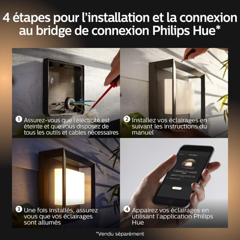Philips Hue White & Color lot de 2 Appliques murales Extérieures ECONIC en aluminium, Noir 4