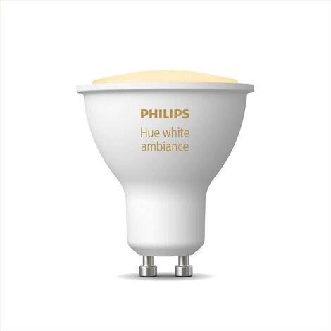 Ruban LED Philips Hue White Outdoor Lightstrip de 5 mètres pour maison  connectée - 37,5 W - Classe A+ - Philips Hue