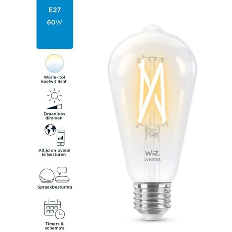 WiZ ampoule Wi-Fi couleur E27, équivalent 100W, 1521 lumen, fonctionne avec  Alexa, Google Assistant et Apple HomeKit : : Luminaires et  Éclairage