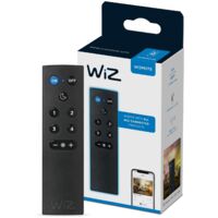 WiZ Accessoire WiZmote
