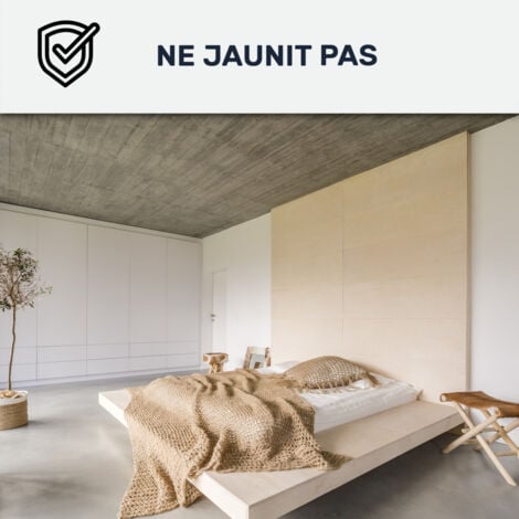 Peinture mur et plafond, satin, velours, biosourcée - 10 L (+ ou - 120m² par couche) Blanc - ARCANE INDUSTRIES