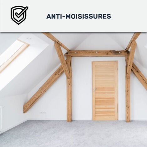 Peinture anti condensation, anti odeur, moisissure - 2.5 L Blanc - ARCANE INDUSTRIES