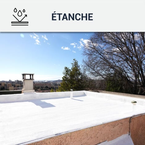 Cool roof, toit plat, terrasse, réfléchissante - 15 kg Blanc - ARCANE INDUSTRIES
