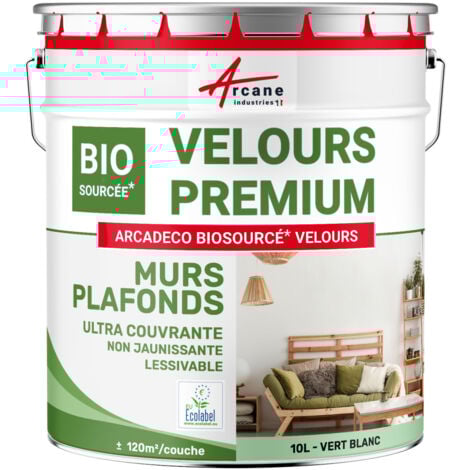 Peinture mur et plafond, satin, velours, biosourcée - 10 L (+ ou - 120m² par couche) Vert Blanc - RAL 6019 - ARCANE INDUSTRIES