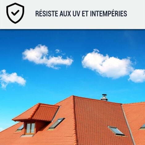 Peinture toiture, tuile, ciment et terre cuite - 10 L Brun Orangé - RAL 8023 - ARCANE INDUSTRIES